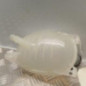 Vase d'expansion NISSAN JUKE 2