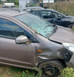 Feu arriere principal droit (feux) NISSAN PIXO Photo n°4