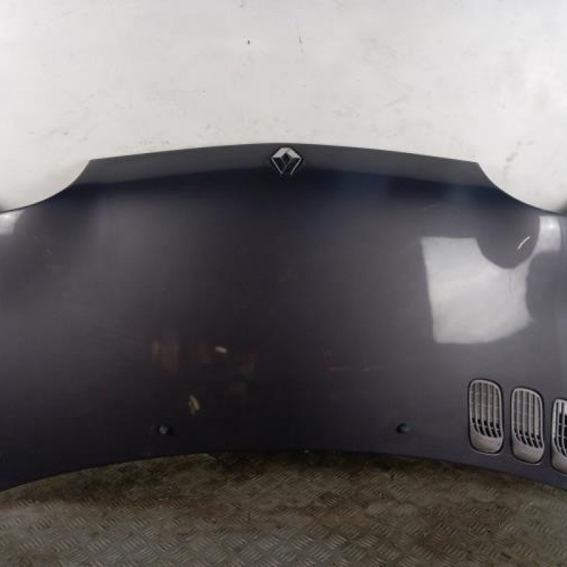 Capot RENAULT TWINGO 1 Capot RENAULT TWINGO 1