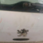 Malle/Hayon arriere PEUGEOT 307