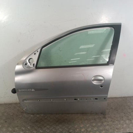 Porte avant gauche PEUGEOT 206 Photo n°1