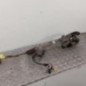 Cremaillere assistee CITROEN C4 PICASSO 2