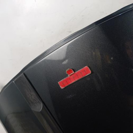 Porte arriere gauche RENAULT CLIO 3