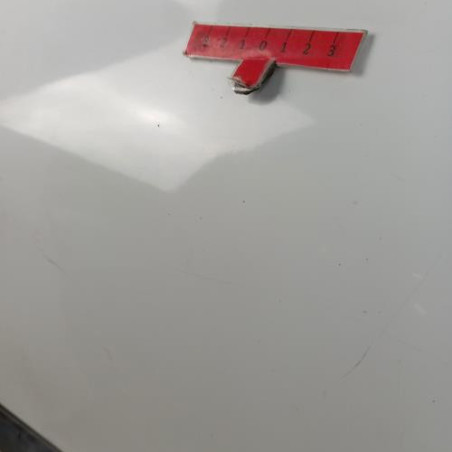 Porte arriere gauche RENAULT CLIO 2