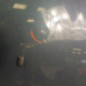 Capot FORD B-MAX