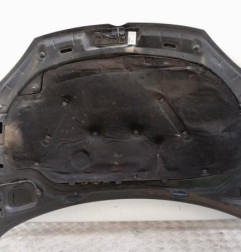 Capot VOLKSWAGEN GOLF 5 Photo n°8