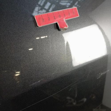 Porte arriere gauche CITROEN C3 PICASSO