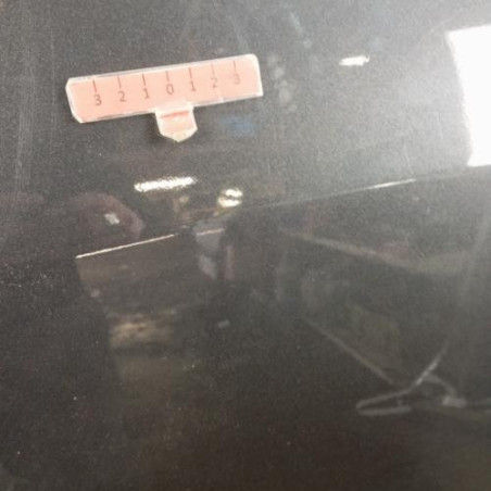 Porte avant gauche RENAULT SCENIC 3