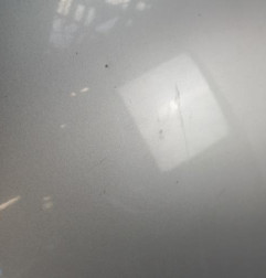 Capot VOLKSWAGEN TRANSPORTER 5 Photo n°5