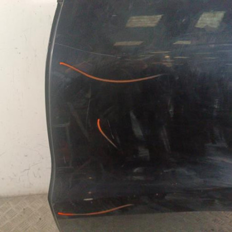 Porte arriere gauche VOLKSWAGEN TIGUAN 1