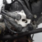 Moteur RENAULT CLIO 1