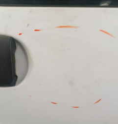 Porte laterale gauche RENAULT KANGOO 1