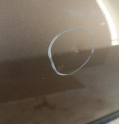 Porte avant gauche RENAULT CLIO 3