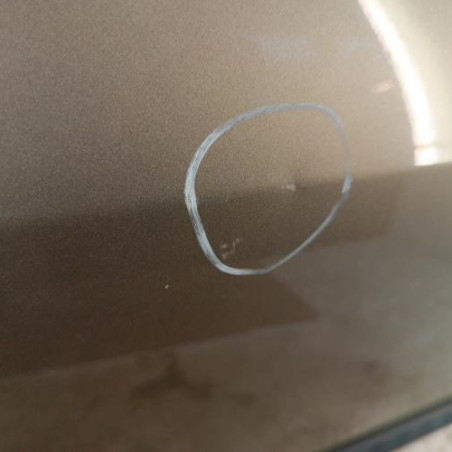 Porte avant gauche RENAULT CLIO 3
