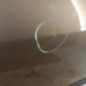 Porte avant gauche RENAULT CLIO 3