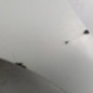Aile avant gauche RENAULT KANGOO 2