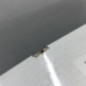 Malle/Hayon arriere KIA PICANTO 2