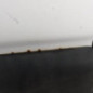 Porte de coffre gauche RENAULT MASTER 2