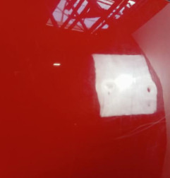 Porte avant gauche DACIA SANDERO 1 Photo n°4
