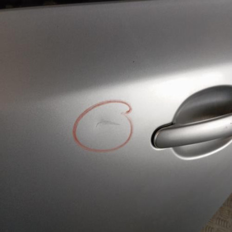 Porte arriere gauche SKODA FABIA 2