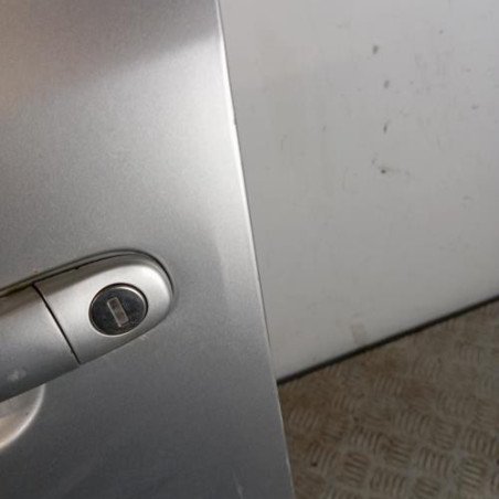 Porte avant gauche SKODA FABIA 2