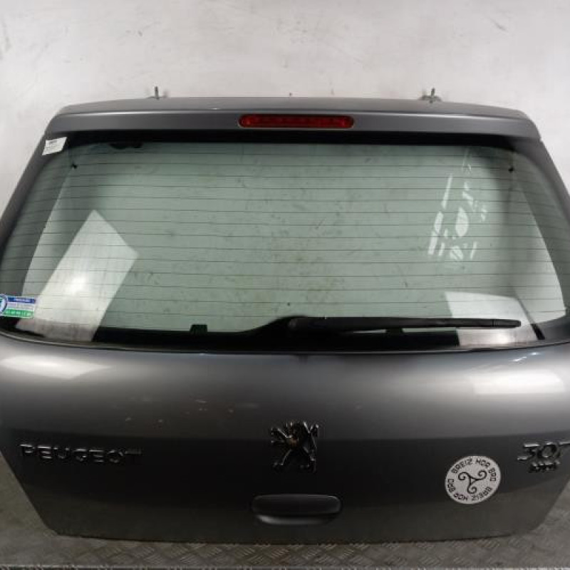 Malle/Hayon arriere PEUGEOT 307 Malle/Hayon arriere PEUGEOT 307