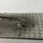 Renfort pare choc arriere (traverse) RENAULT MEGANE 2