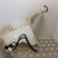 Vase de lave glace PEUGEOT 407
