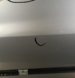 Porte avant gauche RENAULT CLIO 3 Photo n°4