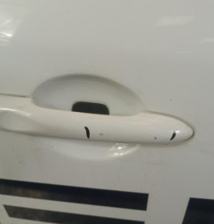 Porte avant droit RENAULT MEGANE 3