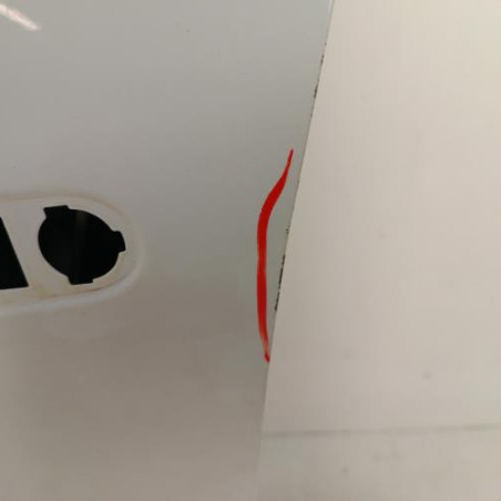 Porte avant gauche RENAULT CLIO 4
