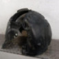 Pare boue avant gauche RENAULT SCENIC 2