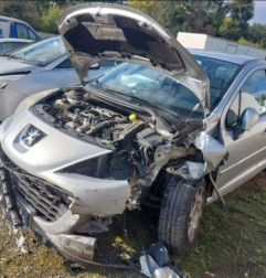 Pulseur d'air PEUGEOT 207 Photo n°4