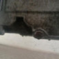 Moteur FORD MONDEO 1