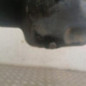 Moteur VOLKSWAGEN POLO 3