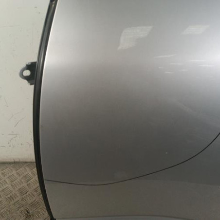 Porte arriere gauche RENAULT MEGANE 4