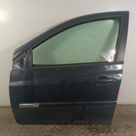 Porte avant gauche RENAULT CLIO 3 Photo n°1