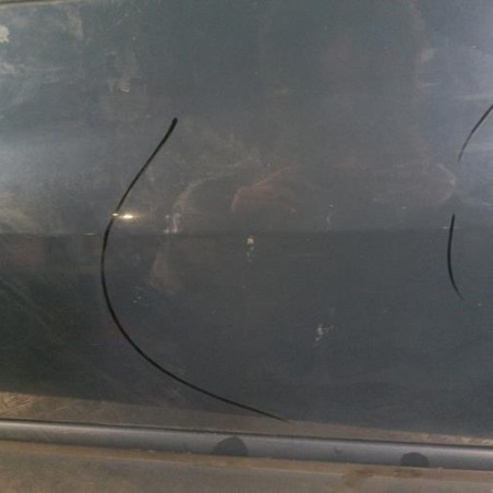 Porte avant gauche RENAULT CLIO 3