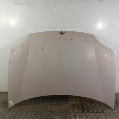 Capot RENAULT KANGOO 1 Photo n°1