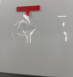 Porte arriere gauche DACIA SANDERO 1