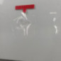 Porte arriere gauche DACIA SANDERO 1