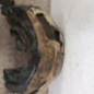 Pare boue arriere gauche OPEL CORSA F