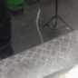 Porte arriere gauche SKODA OCTAVIA 3