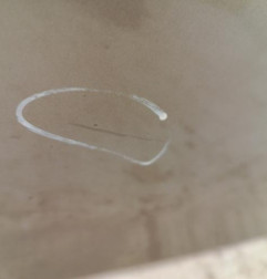 Porte arriere gauche RENAULT CLIO 3