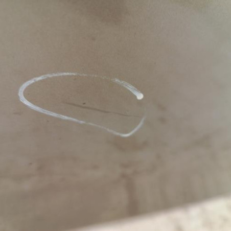 Porte arriere gauche RENAULT CLIO 3