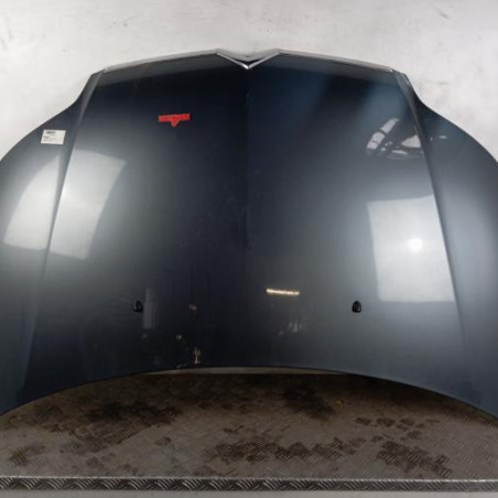 Capot CITROEN C4 1 Photo n°1