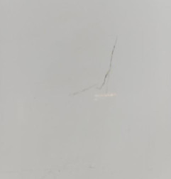 Porte avant droit RENAULT MASTER 1