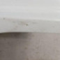 Porte avant droit RENAULT MASTER 1