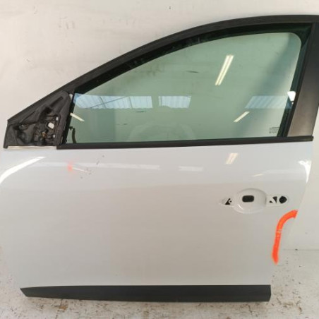Porte avant gauche RENAULT MEGANE 3 Photo n°1