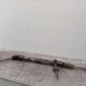 Cremaillere assistee FORD MONDEO 3